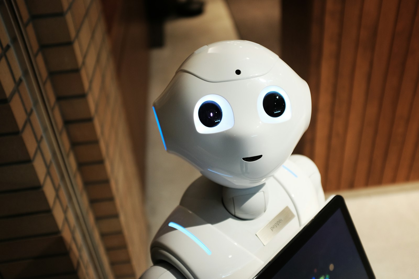 Are Bots Taking Over Kalshi? What the Data Shows