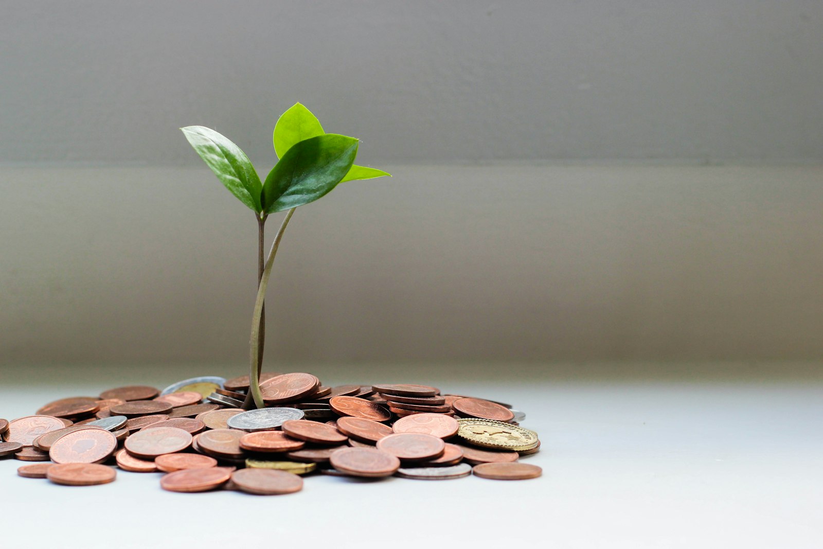 How to Make Money on Kalshi: Beginner to Pro (2026 Guide)